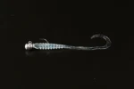 Jackall Tide Ring Head 5pcs Jighead - Görsel 3