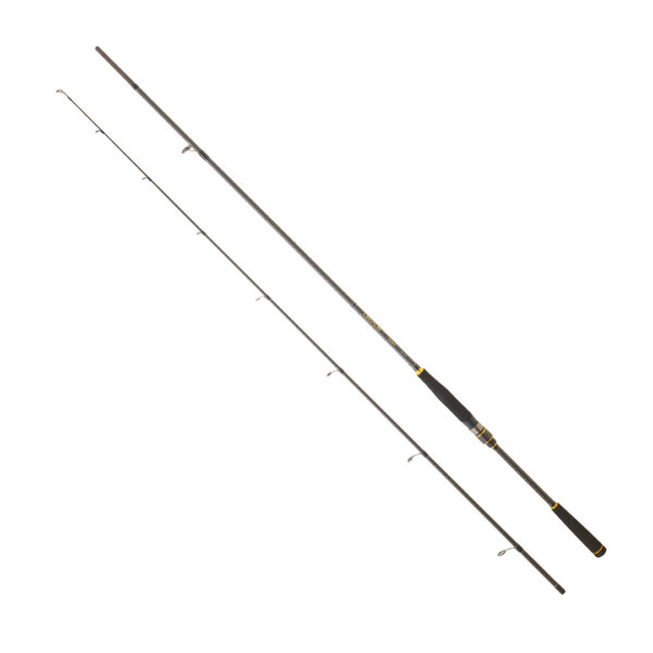 DAIWA LEGALIS SEABASS BF 2.44M, 7-28GR, 2P KAMIŞ